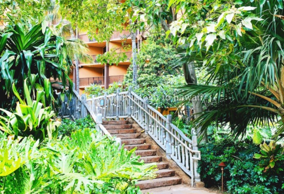 ハワイのコオリナリゾートにあるアウラニディズニーリゾートのジャングルの様な敷地内にある階段
