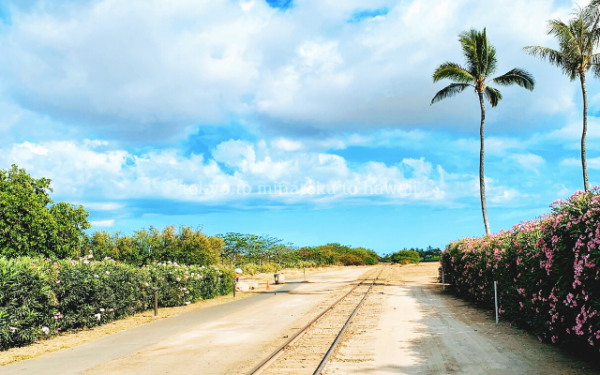 ハワイのコオリナにあるハワイアンレイルウエイの線路