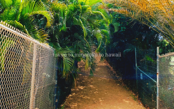 ハワイのコオリナにあるパラダイスコーブビーチへ向かう道