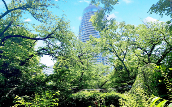 東京都港区の愛宕神社の池周囲の新緑と愛宕神社から見える愛宕グリーンヒルズ