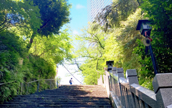 東京都港区の愛宕神社の女坂を下から見た景色