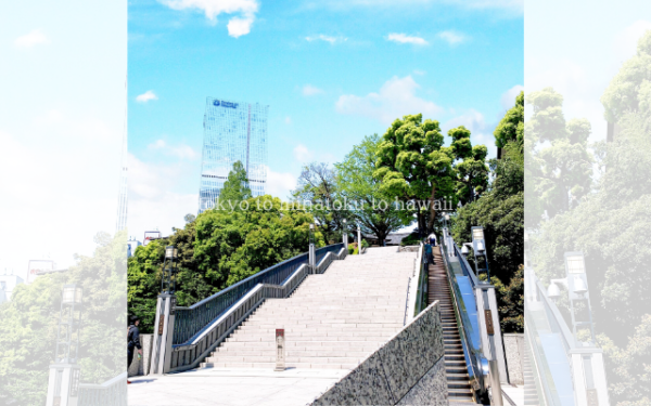 東京都千代田区の日枝神社の赤坂側参道の階段とエスカレーター