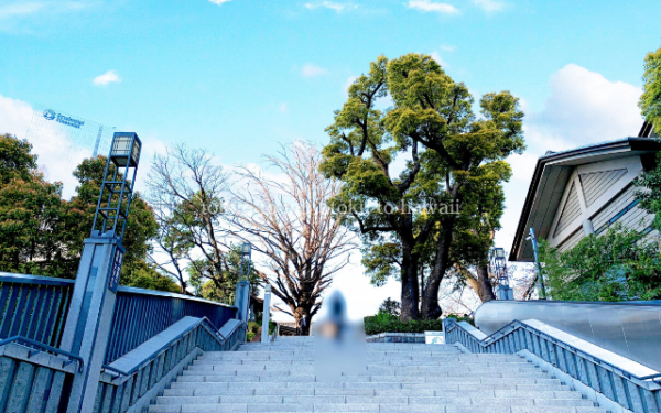 東京都千代田区の日枝神社の赤坂側参道の階段の上から見た外堀通り