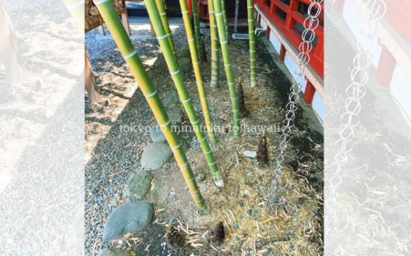 東京都千代田区の日枝神社の南神門を入って右手にある竹と筍