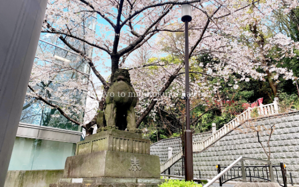 東京都千代田区の日枝神社の西参道の山王鳥居にいる狛犬