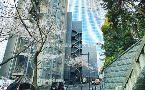 東京都千代田区の日枝神社を囲むようにある山王坂と桜の木ビル
