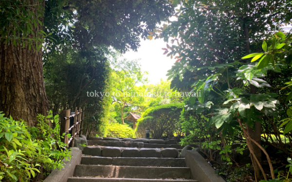 東京都千代田区のホテルニューオータニ東京の日本庭園の竹林脇の階段
