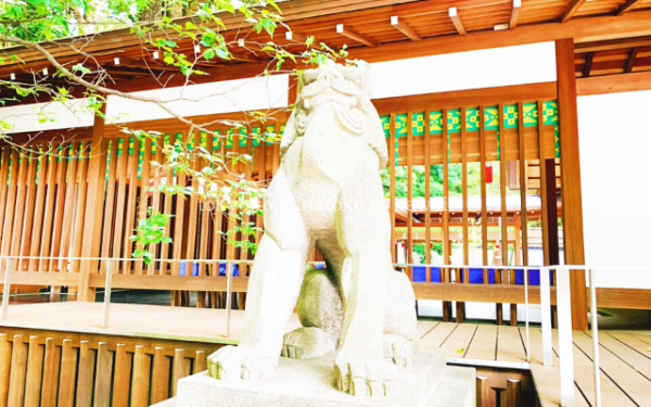 東京都港区赤坂にある乃木神社の狛犬