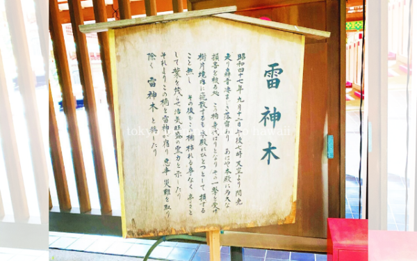 東京都港区赤坂にある乃木神社の雷神木の案内看板