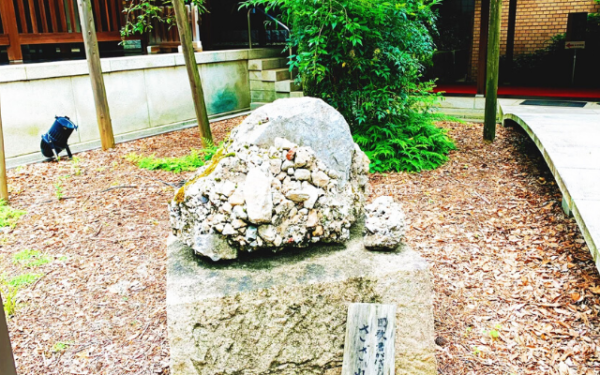 東京都港区赤坂にある乃木神社のさざれ石